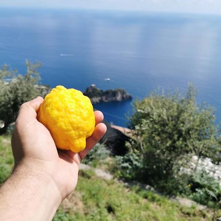 Solecore Amalficoast Conca dei Marini Exterior foto